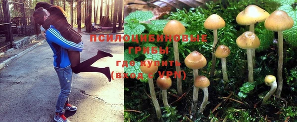 кокаин Каменногорск