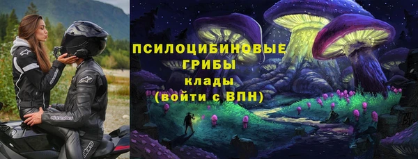 эйфоретик Инта