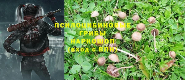 стафф Инсар