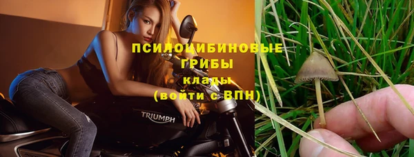 метамфетамин Каменка