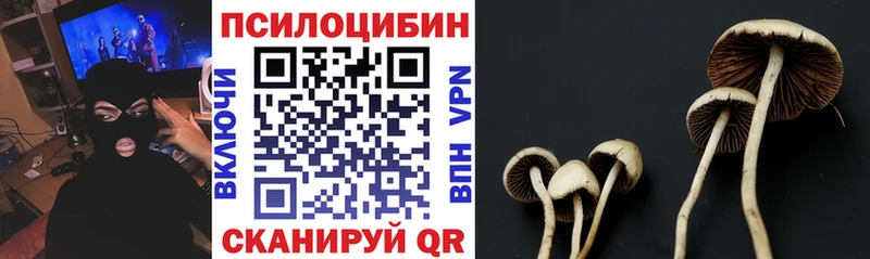 Псилоцибиновые грибы Psilocybine cubensis Хотьково